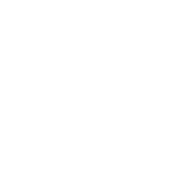 RAKE logo